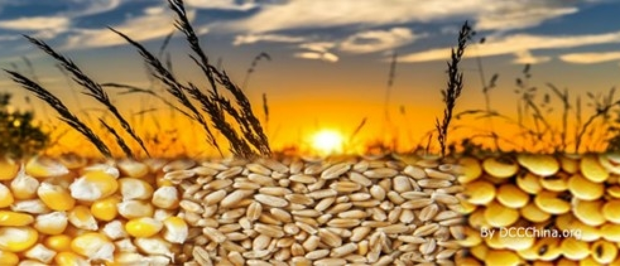 China agricultural imports with motivated Chinese importers