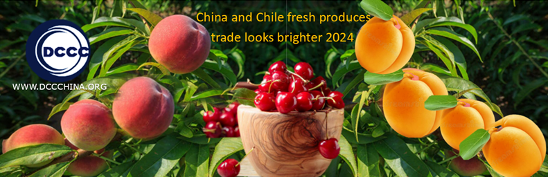 China and Chile fresh produces trade looks brighter 2024