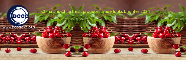 China and Chile fresh produces trade looks brighter 2024