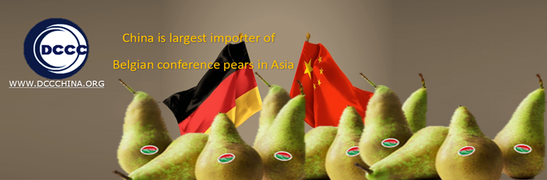 China is largest importer of Belgian conference pears in Asia