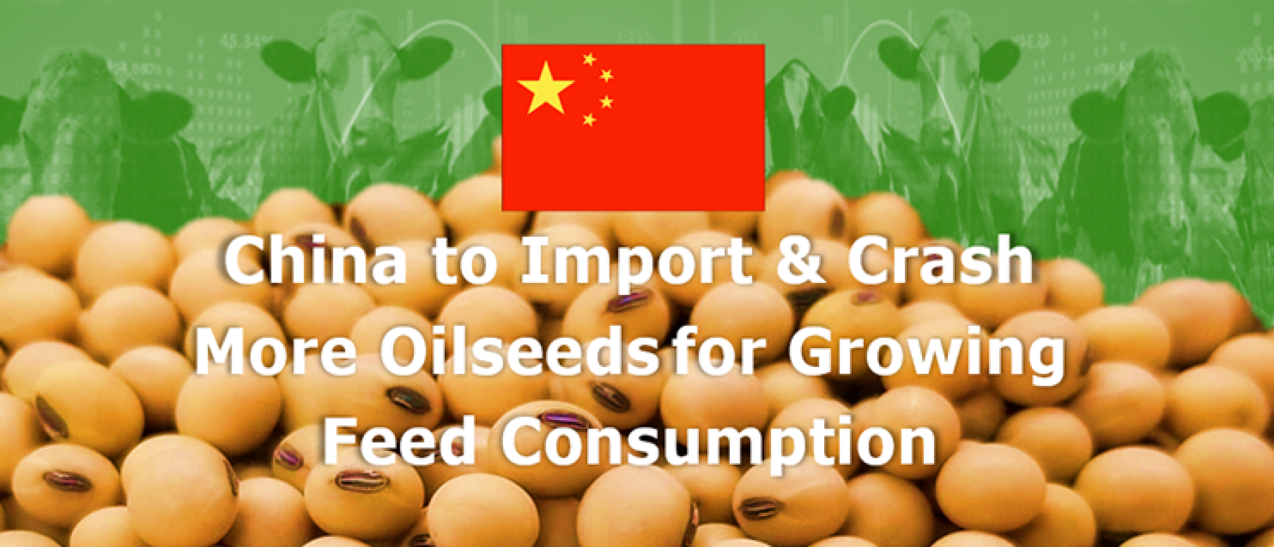 China to Import and Crash More Oilseeds for Growing Feed Consumption