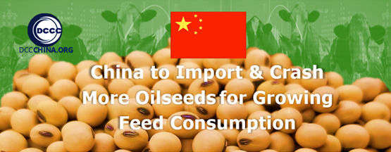 China to Import and Crash More Oilseeds for Growing Feed Consumption