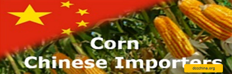 China’s becoming world’s top importer for corn the first time