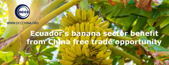 Ecuador’s banana sector benefit from China free trade opportunity