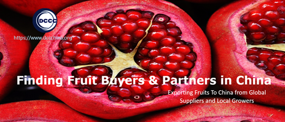 Finding Fruit Buyers & Partners in China