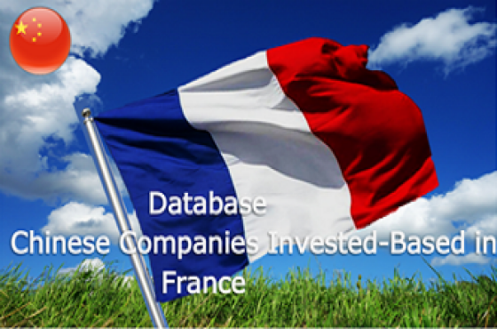 database-Chinese-companies-invested-based-in-France