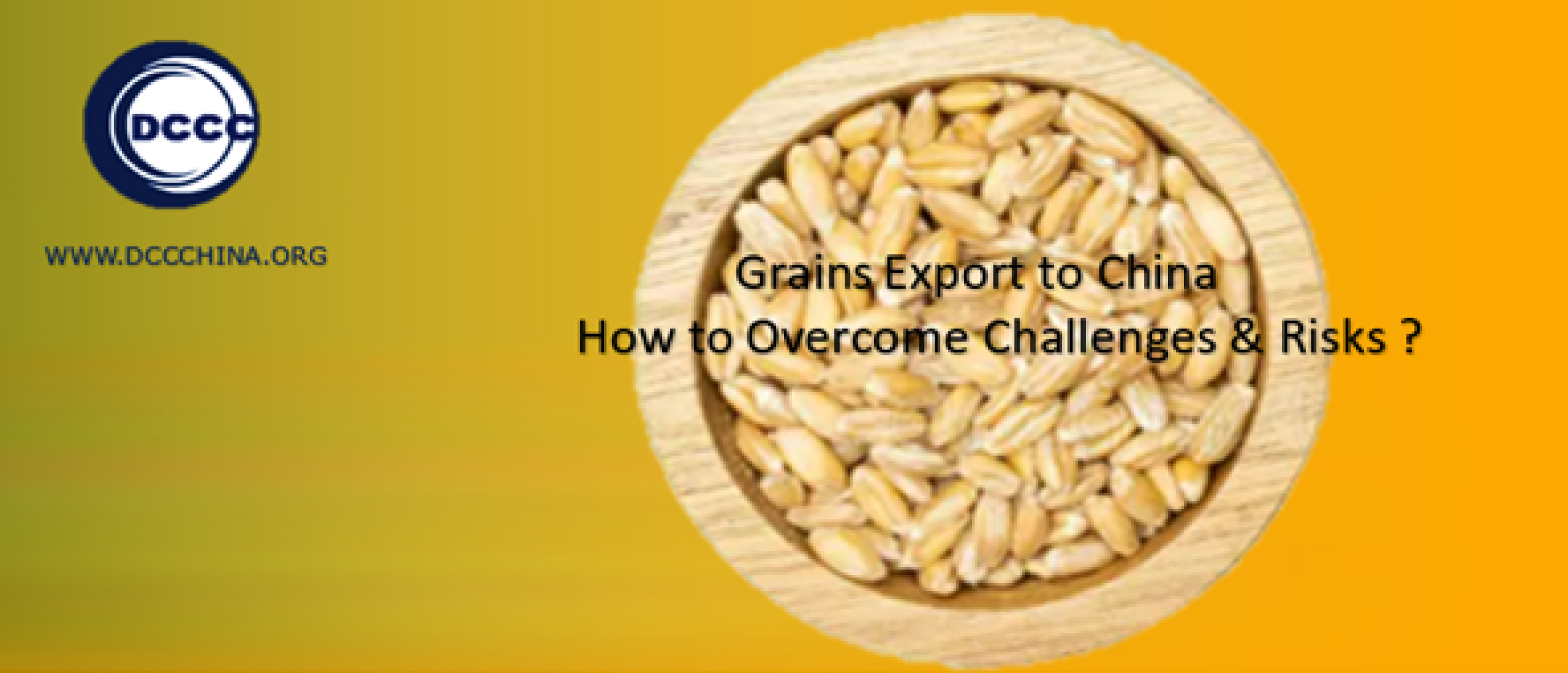 How to overcome challenges and risks grains export to China