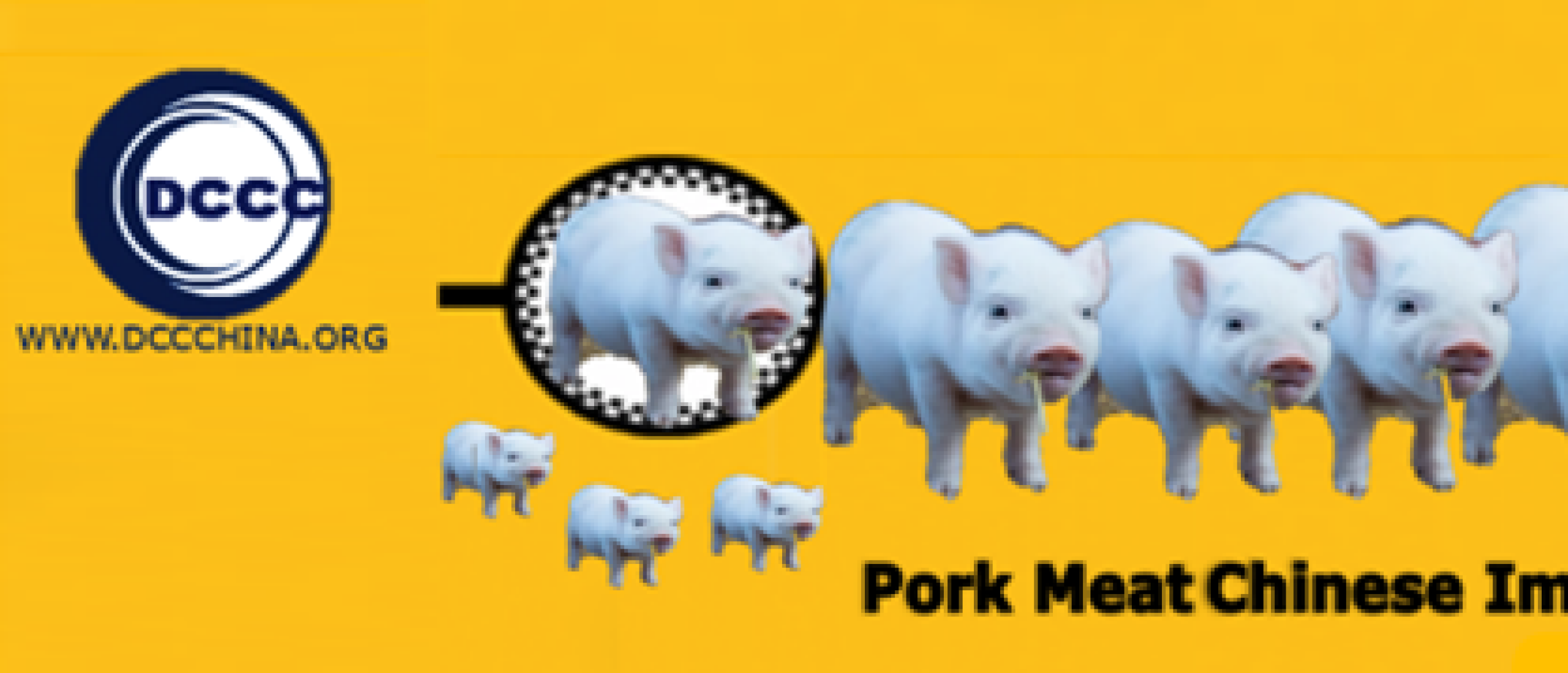 How pork power works in the Chinese market?  China imports pork