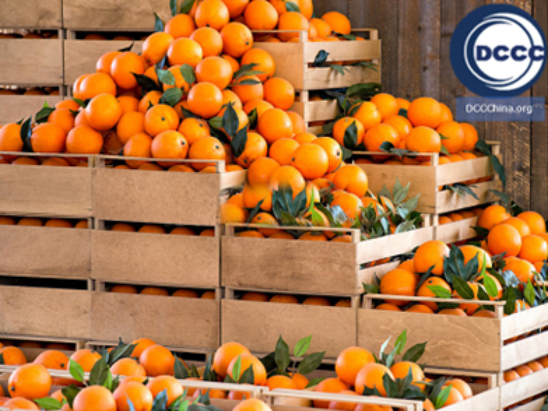 imported-oranges-heading-chinese-market-again-fruit-import-to-china