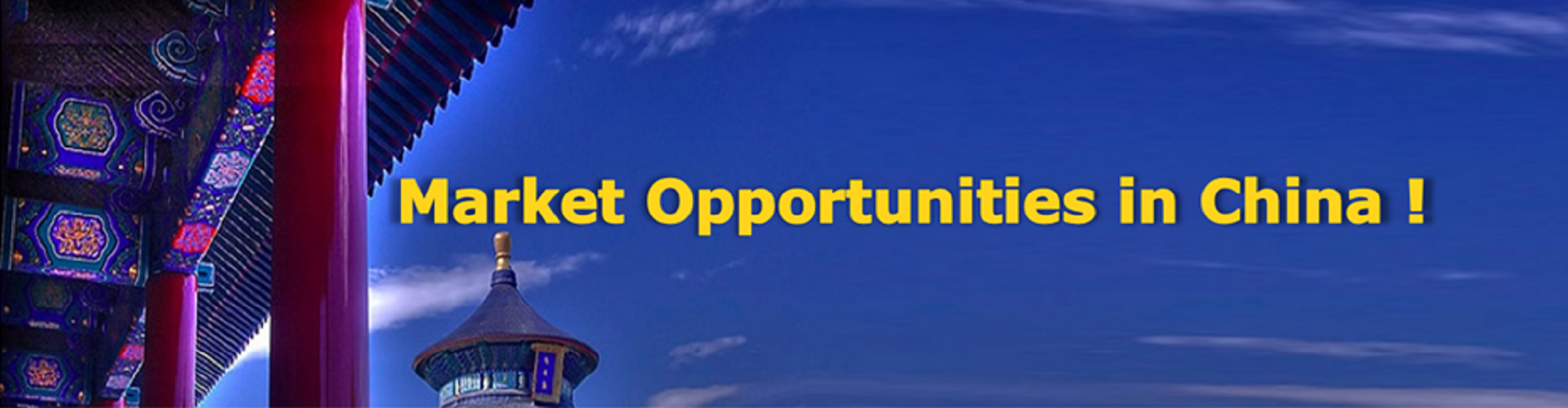 market-opportunities-in-China