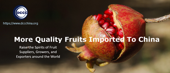 More Fresh Quality Fruits Imported To China