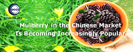 Mulberry China market brilliant potential