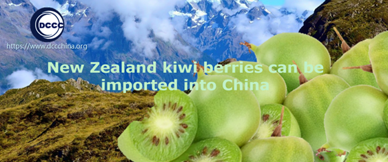 New Zealand kiwi berries can be imported into China