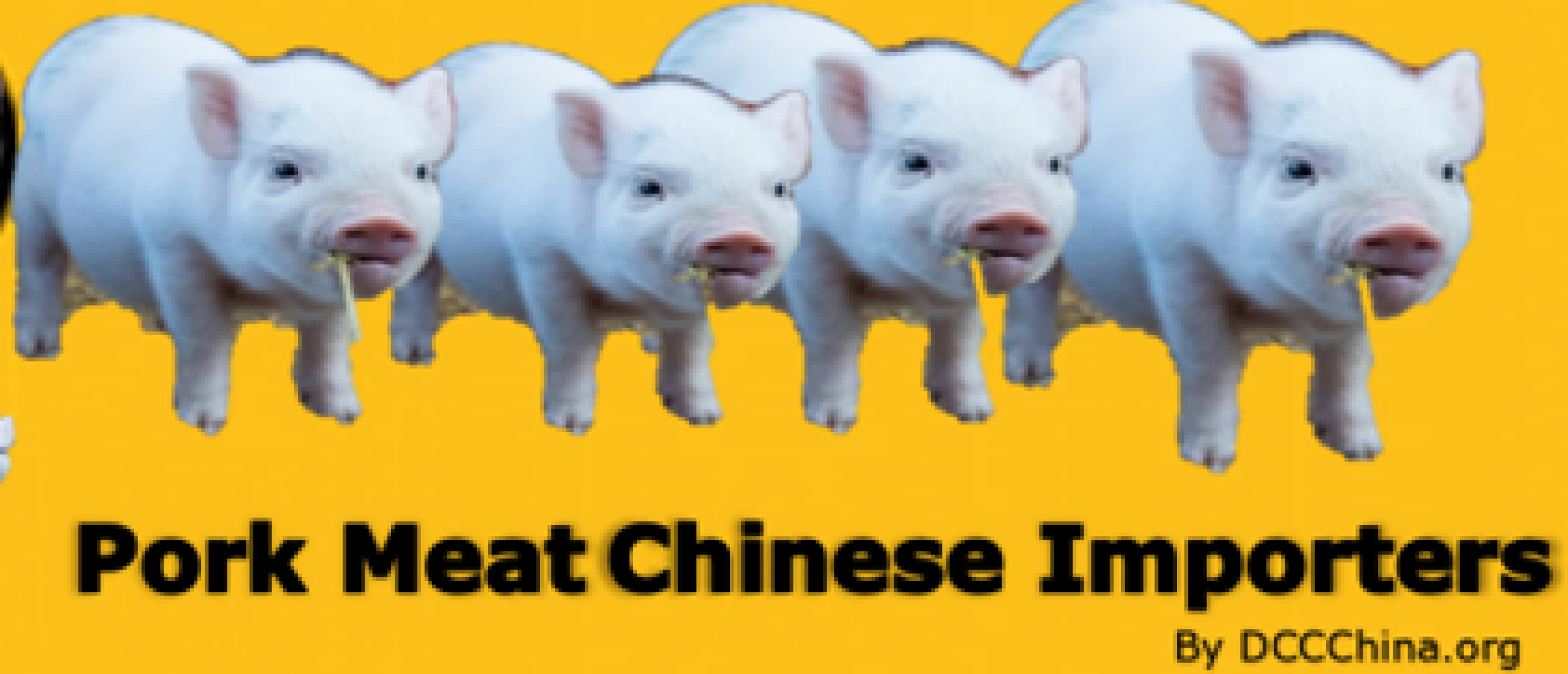 Pork China imports in 2021 reached3.7 million tons record | China market pork power