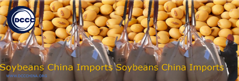 Soybean Russia and China Closer Cooperation 2020-2024 – Soybean China Imports