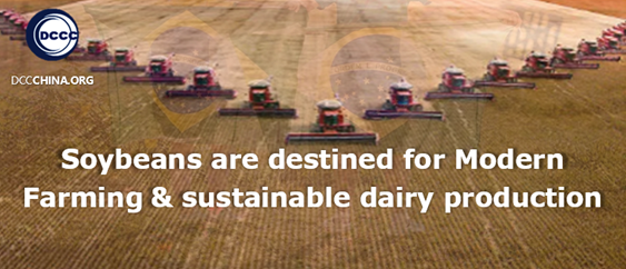 Soybeans are destined for Modern Farming and for use in sustainable dairy production
