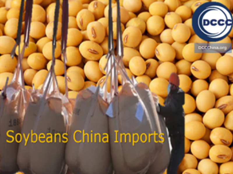 soybeans-china-imports--soybean-russia-china-closer-cooperation-2020-2024