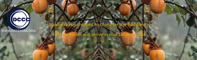 Spanish-kakis-shipped-to-china-for-the-first-time