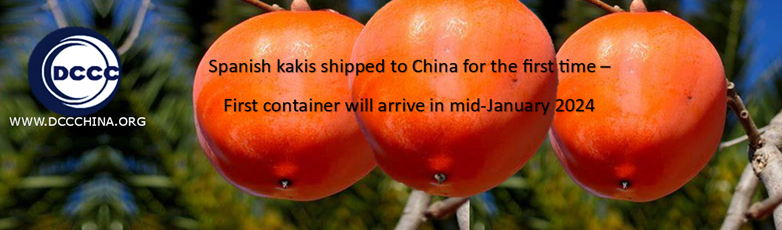Spanish-kakis-shipped-to-china-for-the-first-time