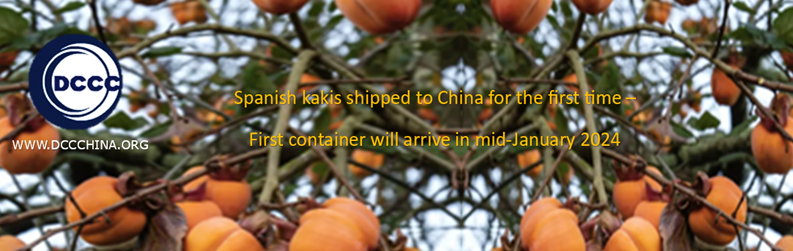 Spanish-kakis-shipped-to-china-for-the-first-time