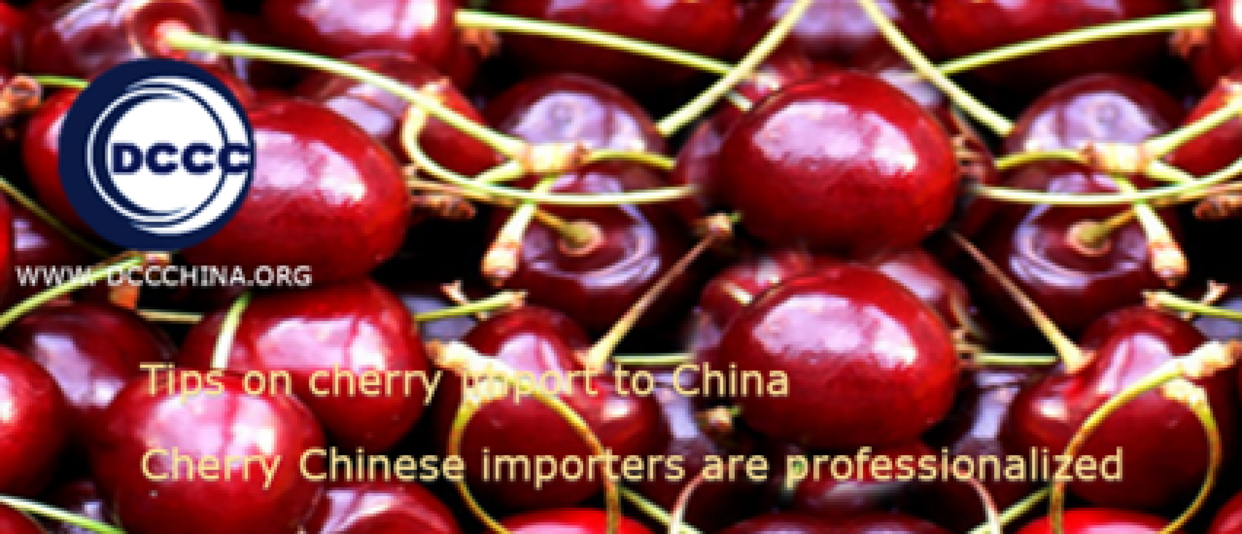 Tips on cherry import to China with cherry professional Chinese importers