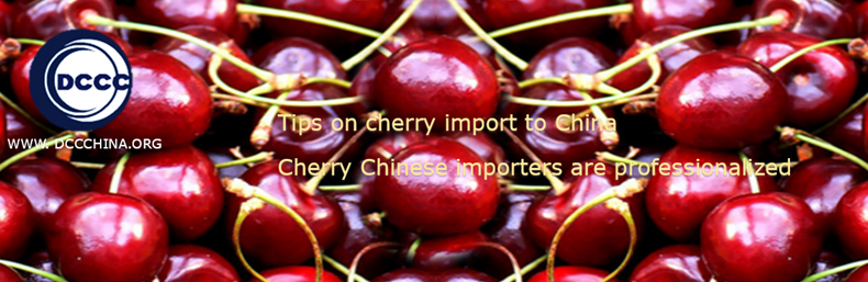 Tips on cherry import to China with cherry professional Chinese importers