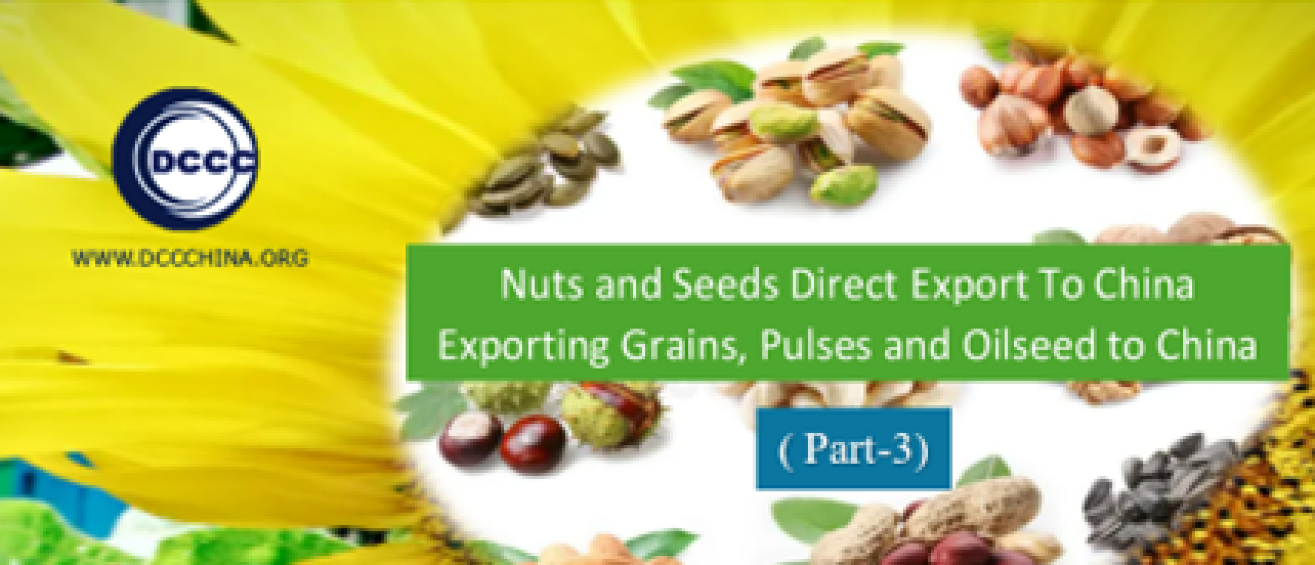 Trade strategies: nuts and seeds direct export to China