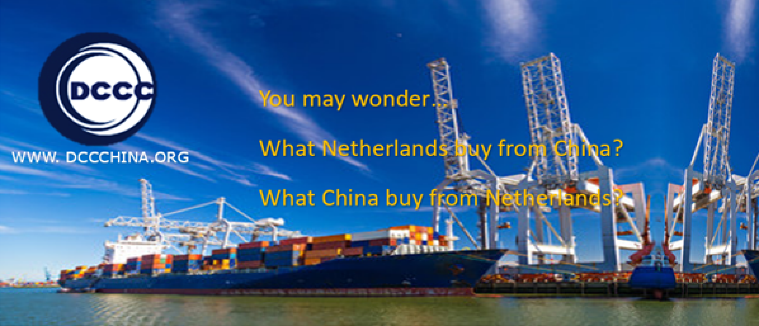 What does The Netherlands imports from China ?   (荷兰从中国进口什么?)