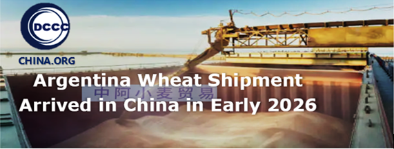 Argentina wheat shipment arrived in China in early 2026