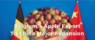 Belgian apples export to China expansion following signing protocol