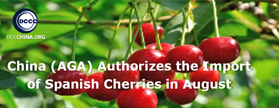 China (AGA) authorizes the import of Spanish cherries in August