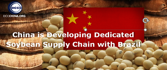 China is developing dedicated soybean supply chain with Brazil