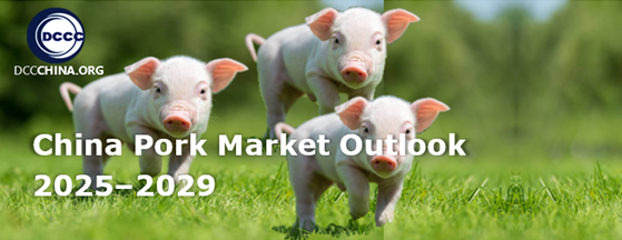 China Pork Market Outlook 2025–2029