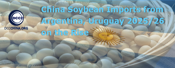 China soybean imports from Argentina, Uruguay 2025/26  on the rise