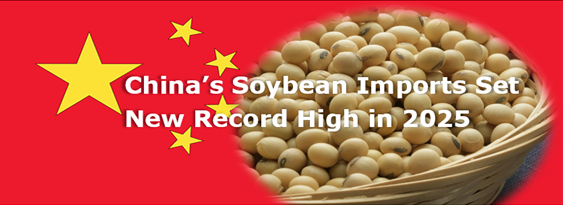 China’s soybean imports reaching new record high in 2025