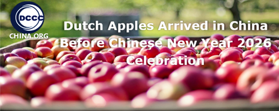 Dutch apples arrived in China before Chinese new year 2026 celebration