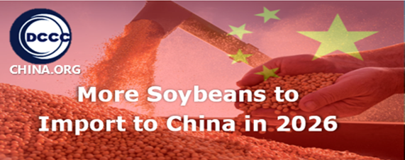 More soybeans to import to China in 2026 by Chinese importers