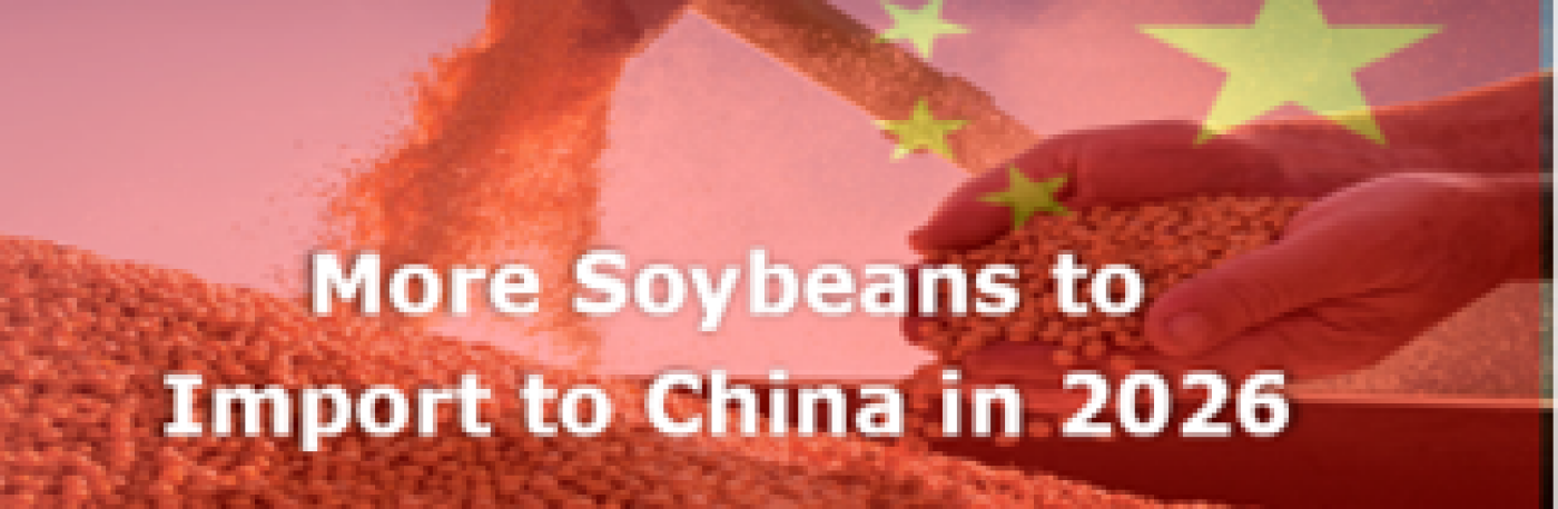 More soybeans to import to China in 2026 by Chinese importers