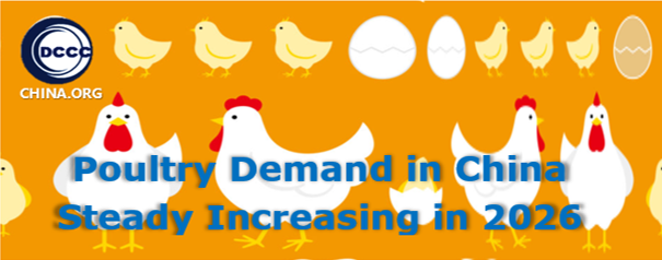 Poultry demand in China steady increasing in 2026