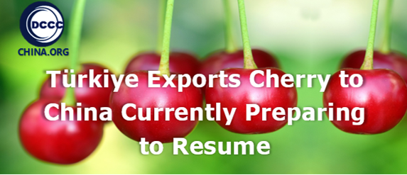 Türkiye exports cherry to China currently preparing to resume