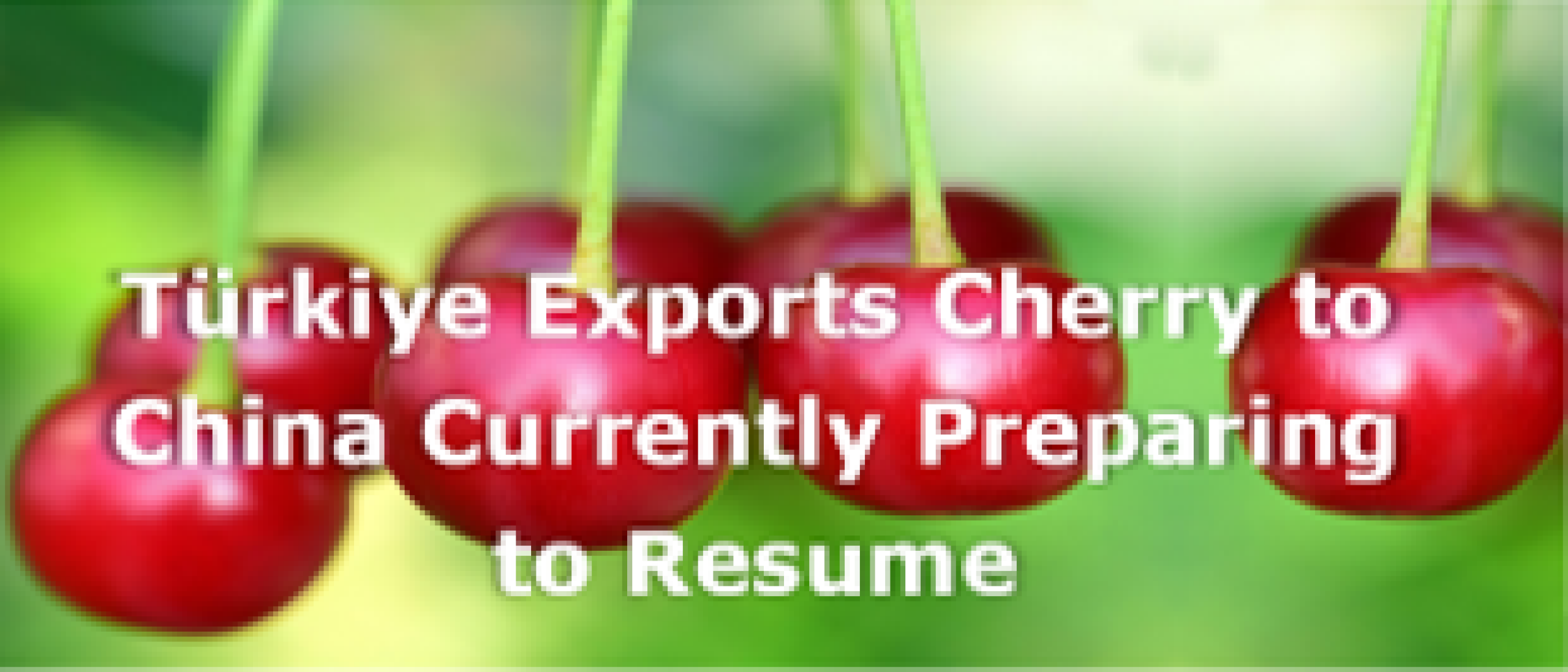 Türkiye exports cherry to China currently preparing to resume