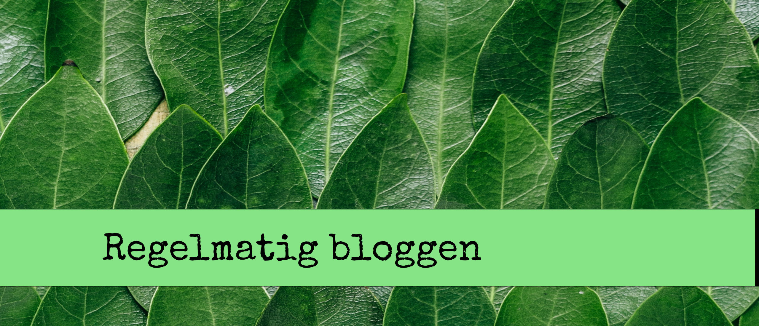 Regelmatig bloggen. Zo dus.