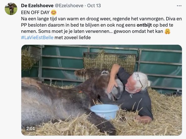 Ontbijt op bed - ezelhoeve