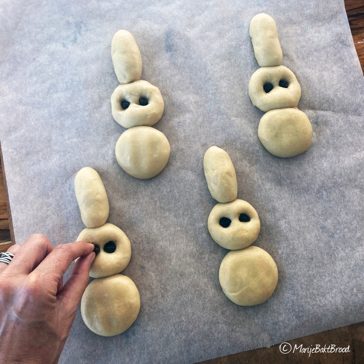 Marije Bakt Brood drukt rozijn in paashaasje van broichedeeg 1170*1170