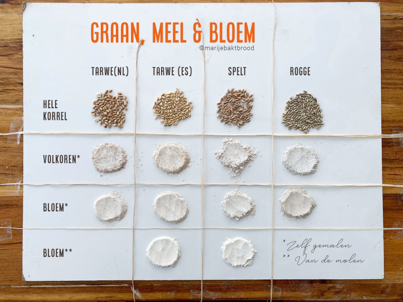 Marije Bakt Brood - Graan, meel & Bloem