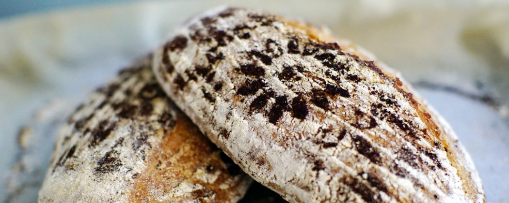 Molenbrood met zuurdesem, leuk voor beginners