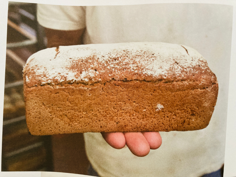 Oude Granen Nieuw Brood gebakken brood- Marije Bakt Brood