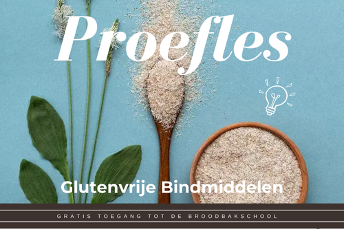 Proefles GV Bindmiddelen _ De Broodbakschool psyllium