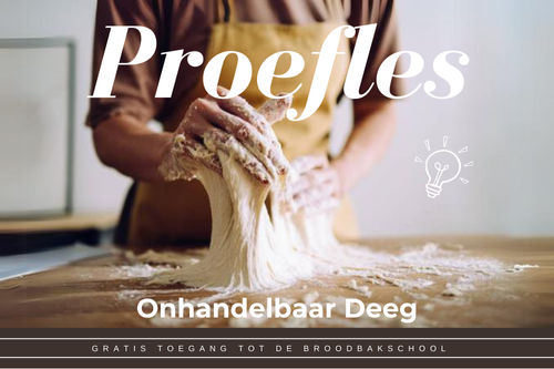 Proefles Onhandelbaar Deeg  _ De Broodbakschool kleverig deeg