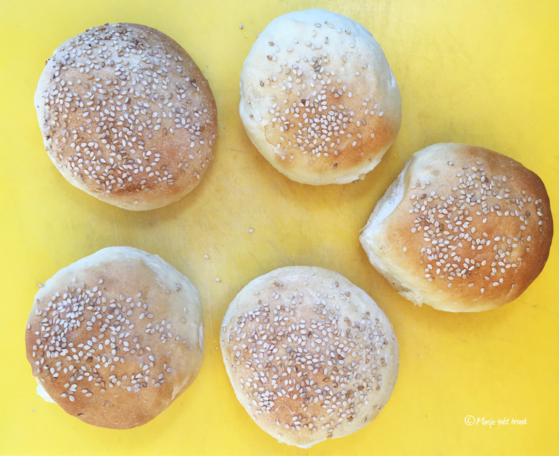 5 Hamburgerbroodjes - Marije Bakt Brood